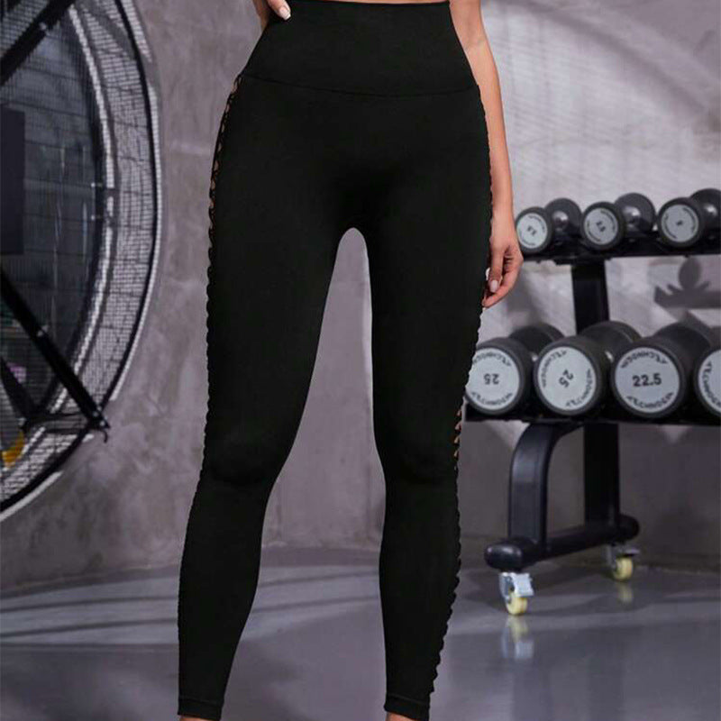 FitRise