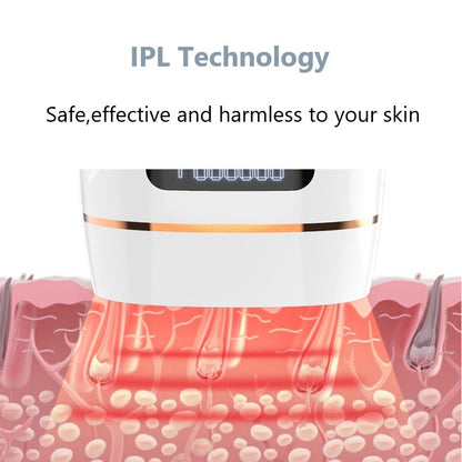 Eiskaltes IPL