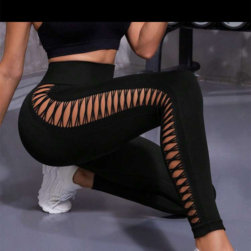 FitRise
